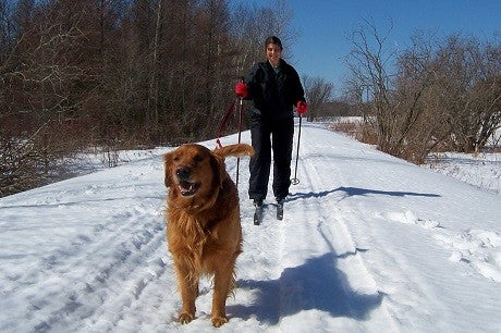 Winter is the Time to Strengthen your Vital Energy Reserve copy