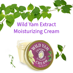 Annas Secret: Wild Yam Cream 4 oz. 