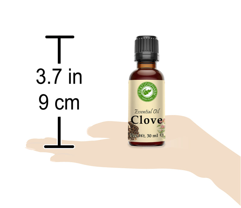 Clove Bud Essential Oil 30ml (1oz) Creation Pharm - Creation Pharm